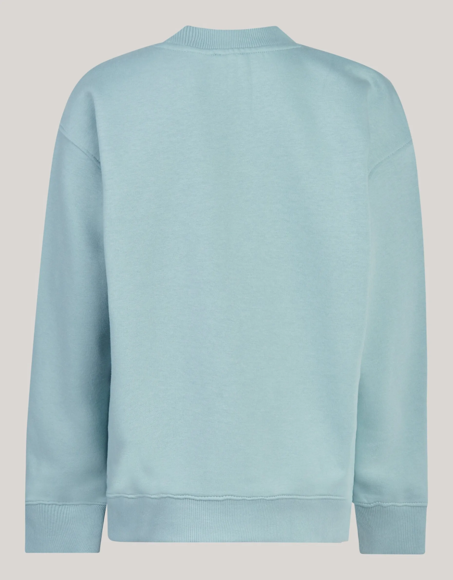 Artwok Sweater Lichtgroen