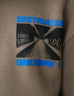 Artwork Hoodie Bruin