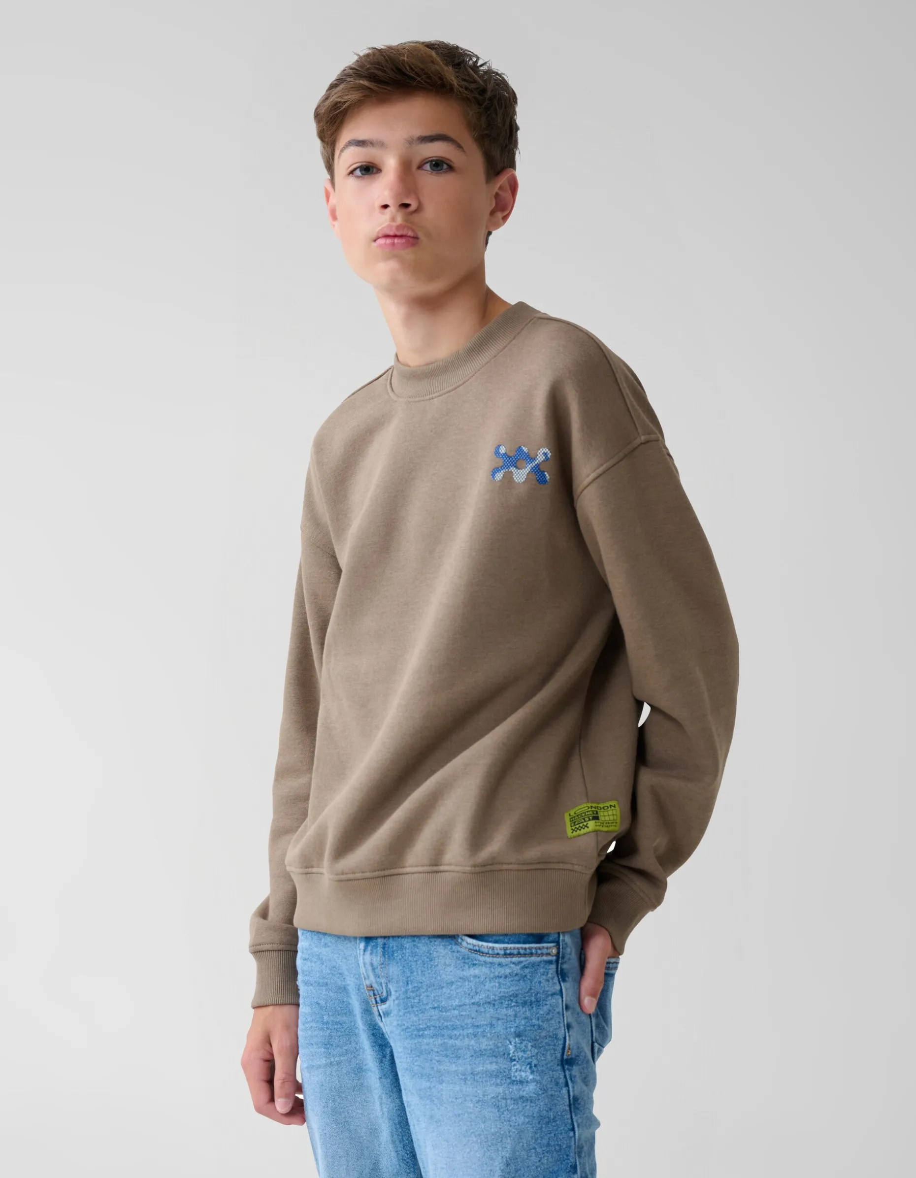 Artwork Sweater Bruin