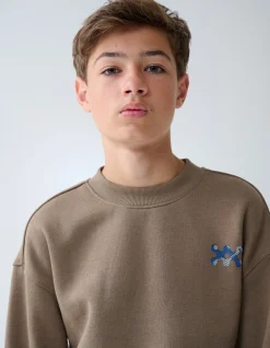 Artwork Sweater Bruin