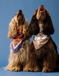 Heart Printed Bandana Beige By Furmey