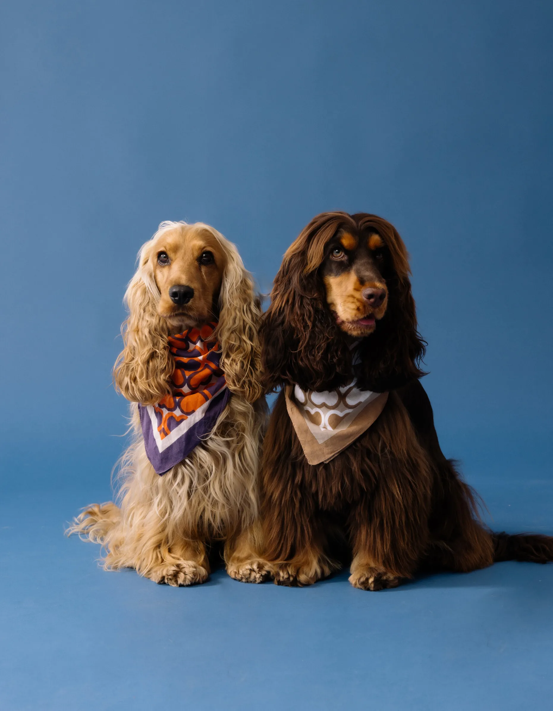 Heart Printed Bandana Paars By Furmey