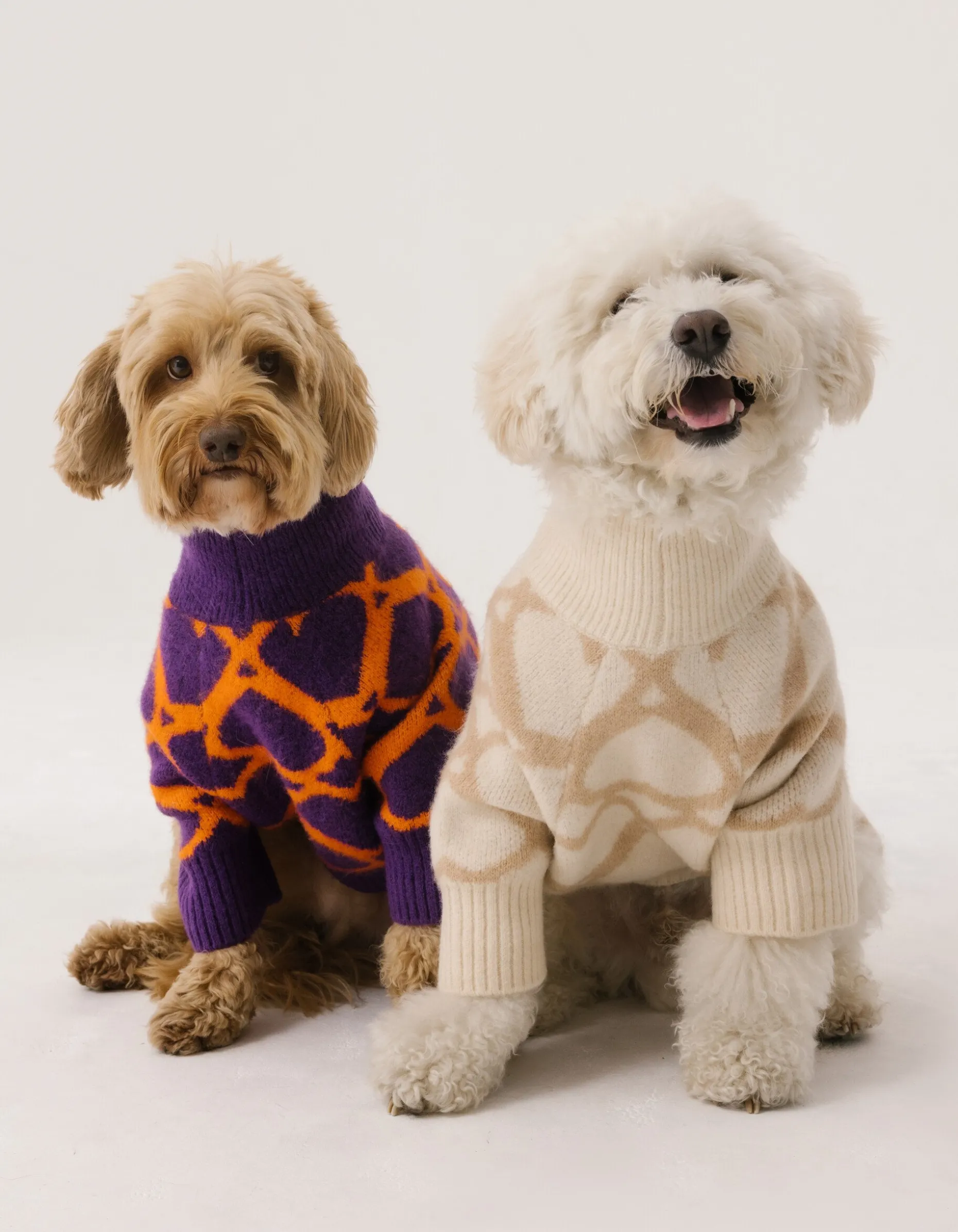 Heart Printed Honden Trui Gebroken Wit By Furmey