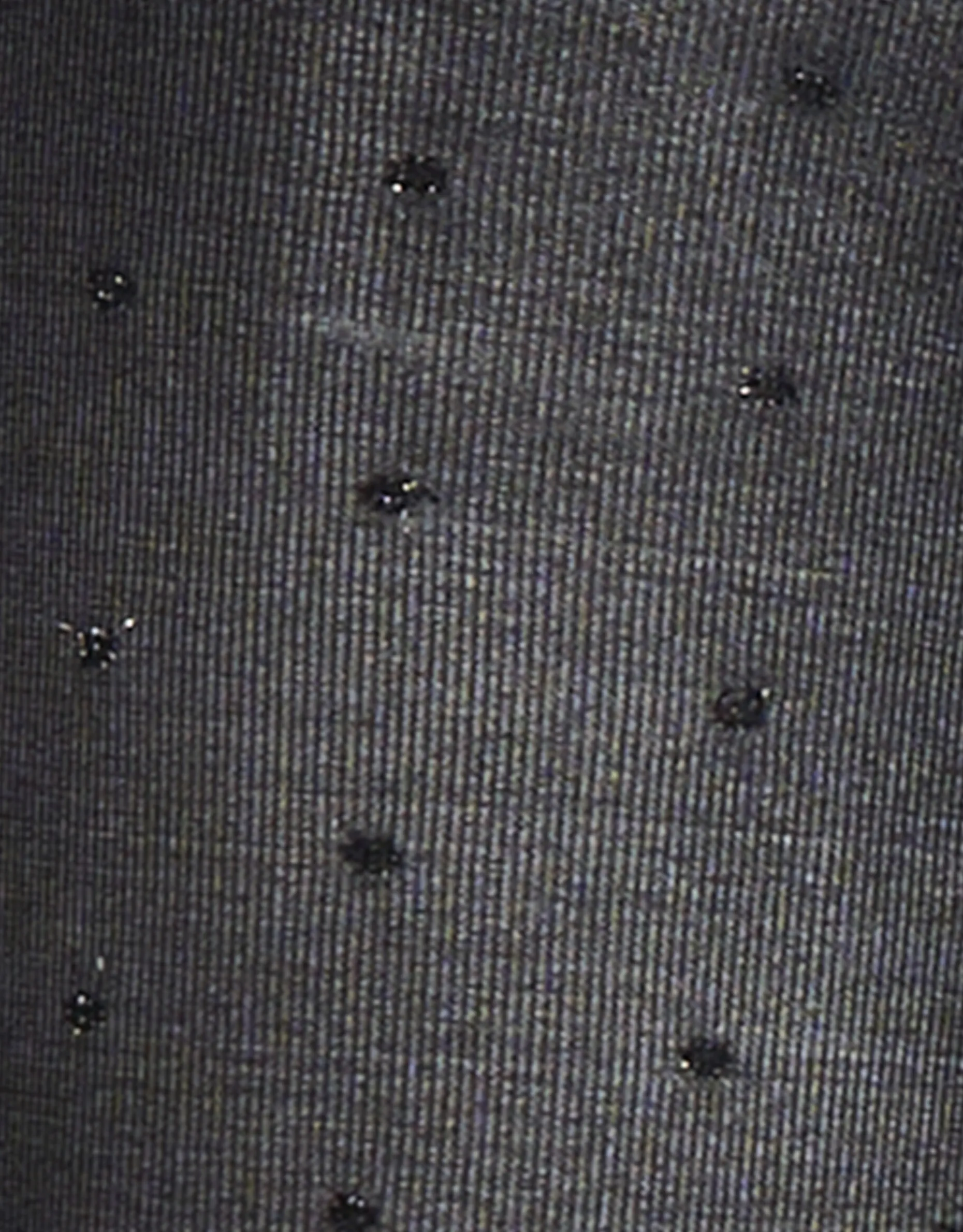 Lurex Dot Panty 40 Denier