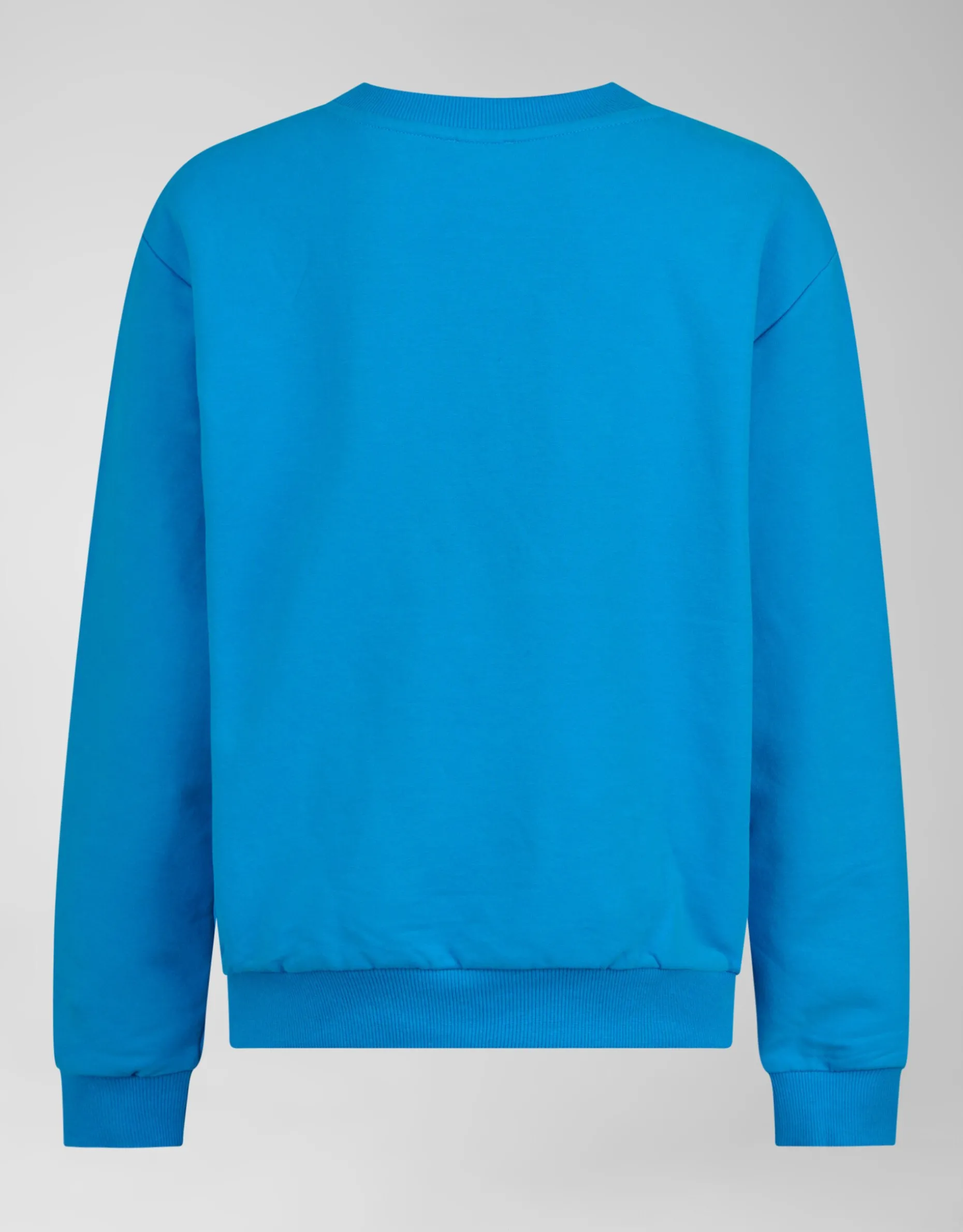 Rebel Sweater Blauw
