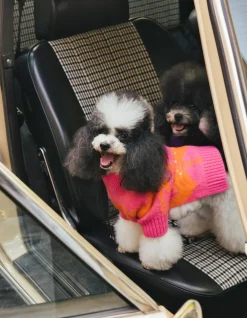 Sequin Honden Trui Roze By Furmey