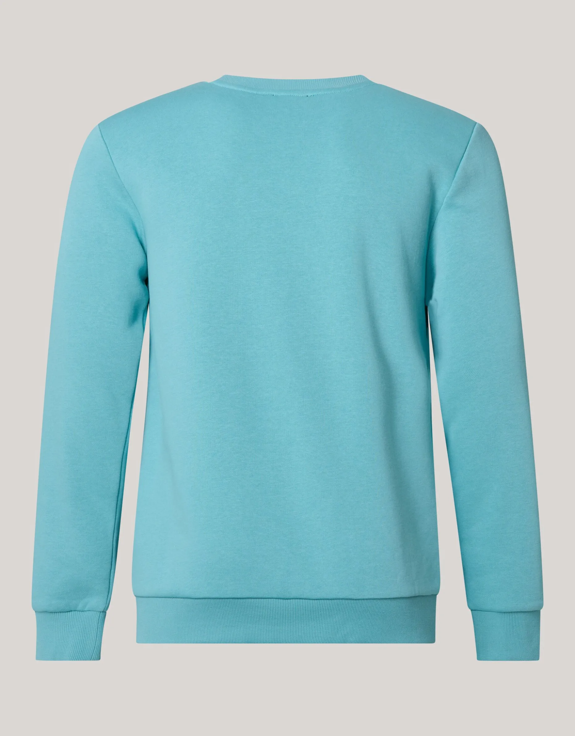 Sparkle Sweater Lichtgroen