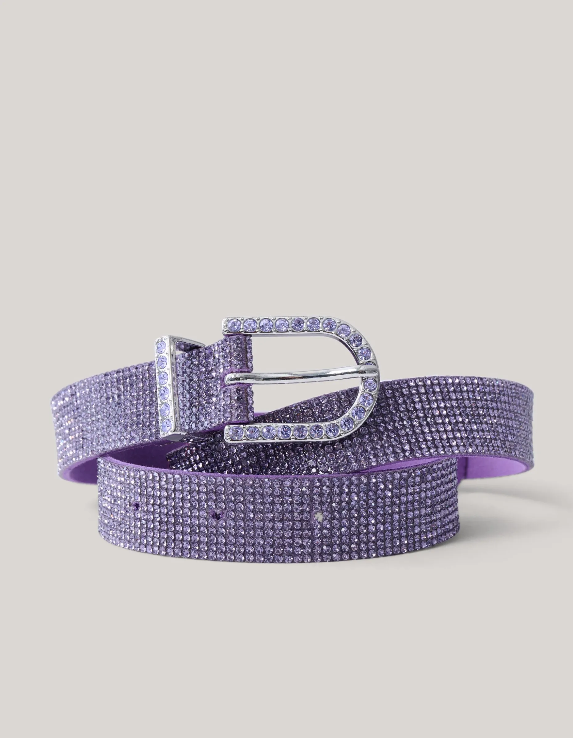 Strass Riem Paars