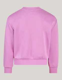 Strik Sweater Roze