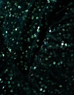 Velvet Pailletten Top Donkergroen